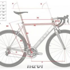 Nevi Spinas -Wilier store 3690 5