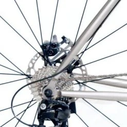 Nevi Gravel -Wilier store 3691 3