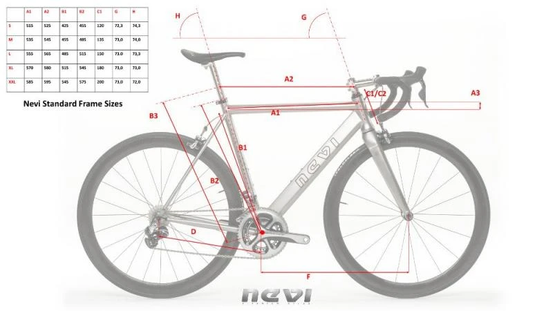 Nevi Classic 6 Nevi Classic - Image 4