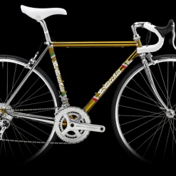 BOTTECCHIA Leggendaria 2023 11 BOTTECCHIA Leggendaria 2023 -Wilier store 7542 4