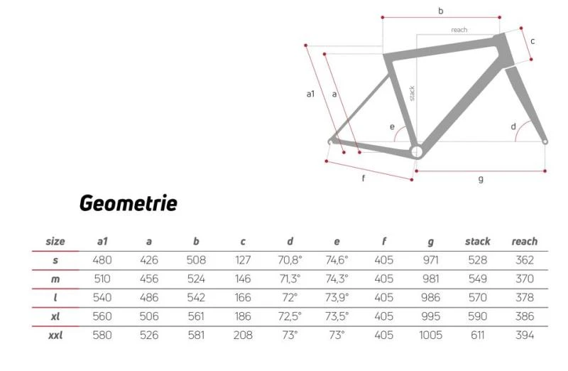 CIOCC Rydon ACR Disc 2022 13 CIOCC Rydon ACR Disc 2022 - Image 11