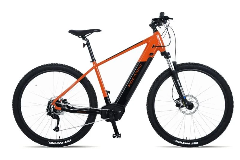 Focarini Aria E-mtb 9v-29, Motor Motinova Pegasi 36v 250w 3 Focarini Aria E-mtb 9v-29, Motor Motinova Pegasi 36v 250w