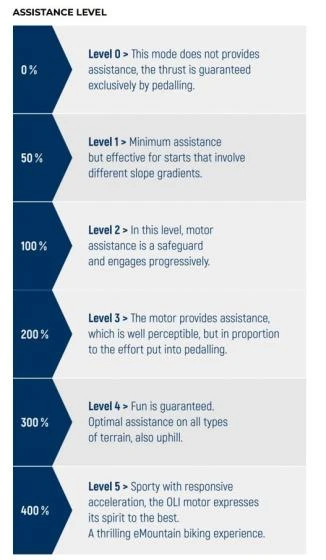 BOTTECCHIA E-MTB EVO START 29” Shimano Alivio 9s 8 BOTTECCHIA E-MTB EVO START 29” Shimano Alivio 9s - Image 6