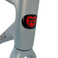 De Rosa 838 Disc Frameset, Size 52, Fast Delivery -Wilier store 8020 2