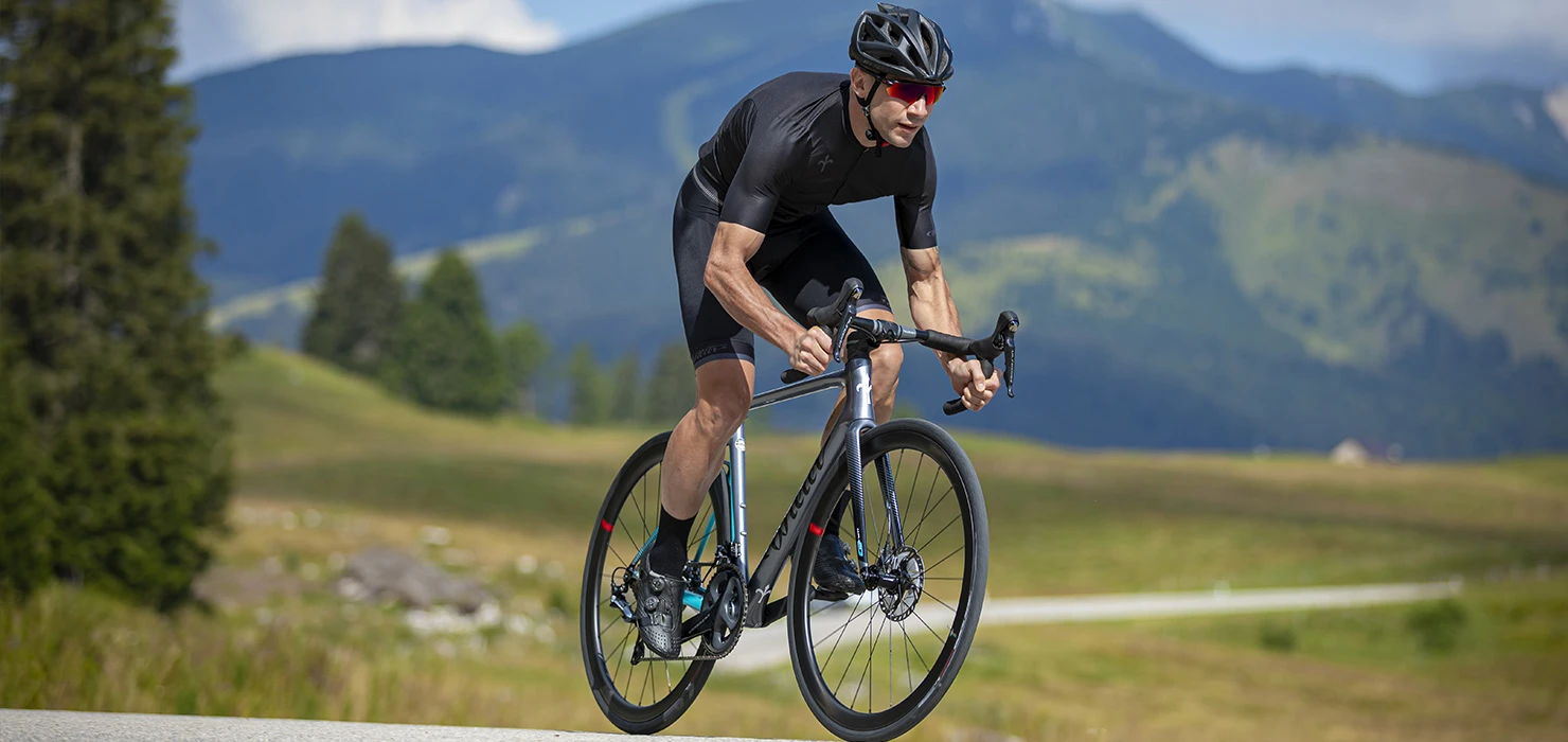 Wilier store -Wilier store wilier 3