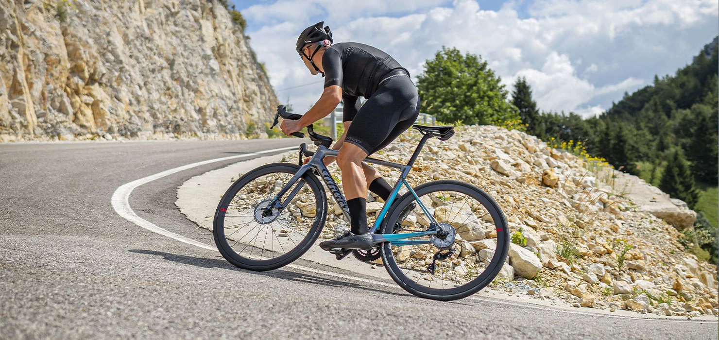 Wilier store -Wilier store wilier 1